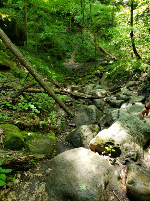 Turkey Run State Park Marshall, IN Campground Reviews